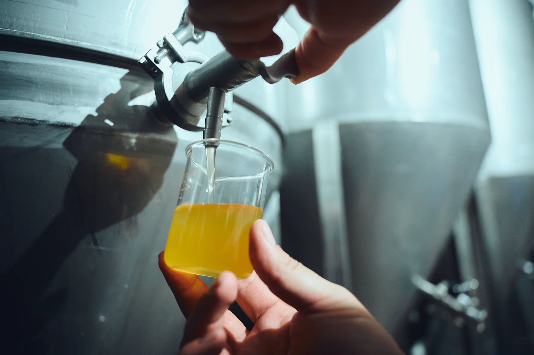 Proceso de elaboración de cerveza